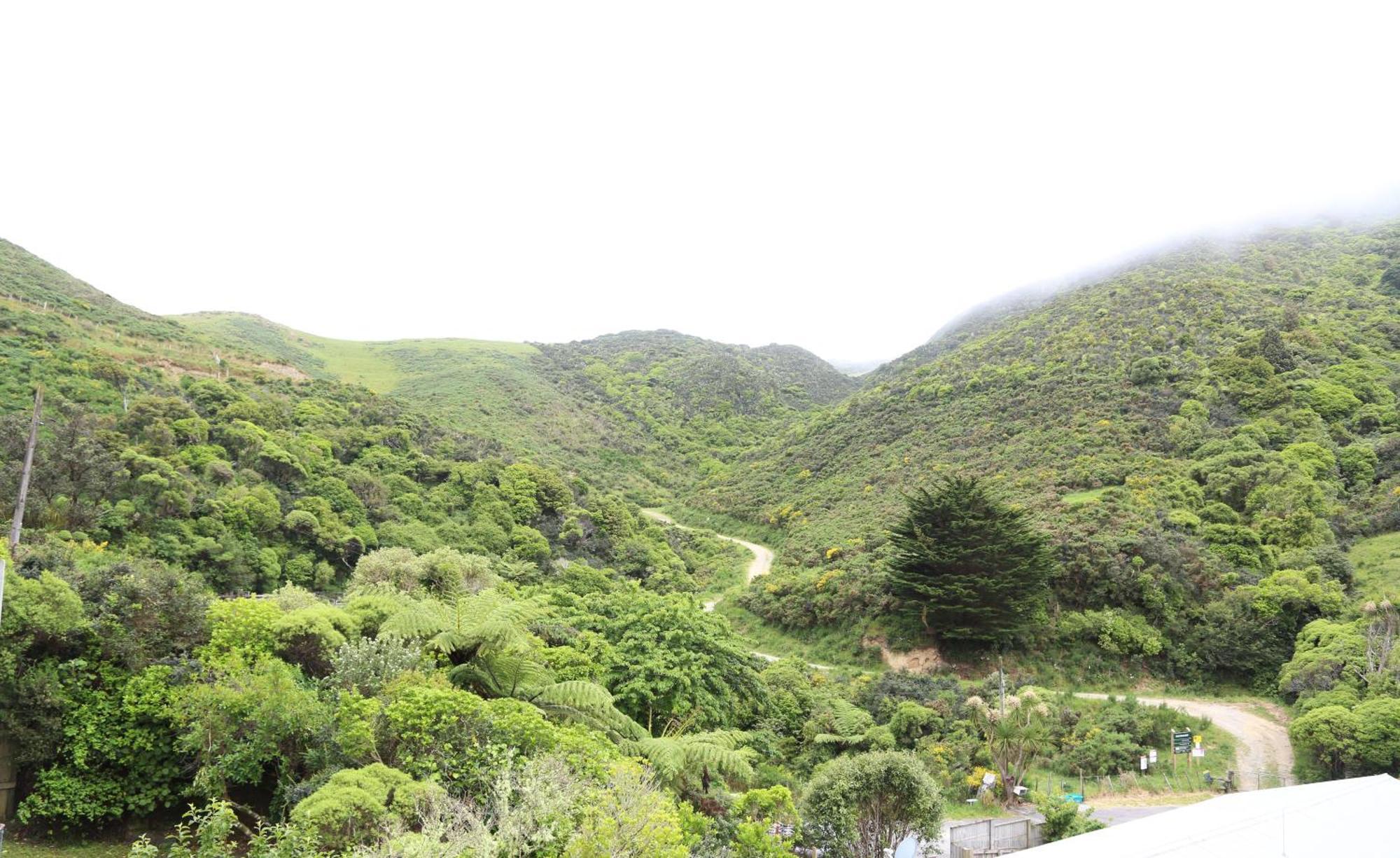 Skyline Haven - Entire Apartment - Free Parking, Espresso, Netflix - 15M To Cbd, Stadium, Ferry Wellington Exteriér fotografie